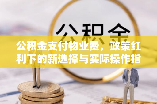 东丽公积金支付物业费，政策红利下的新选择与实际操作指南