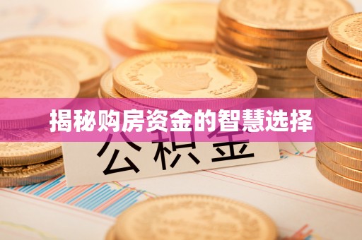 东丽揭秘购房资金的智慧选择