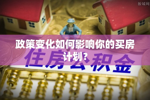 东丽政策变化如何影响你的买房计划？
