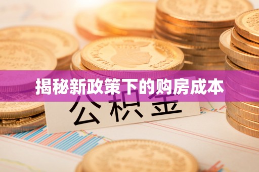 东丽揭秘新政策下的购房成本