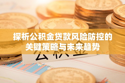 东丽探析公积金贷款风险防控的关键策略与未来趋势