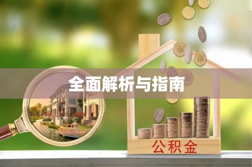 东丽全面解析与指南