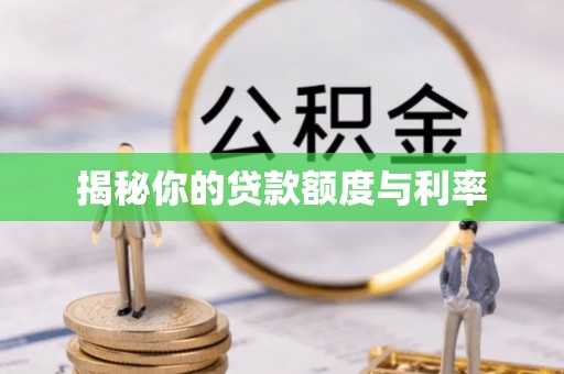 东丽揭秘你的贷款额度与利率