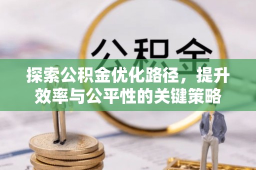 东丽探索公积金优化路径，提升效率与公平性的关键策略