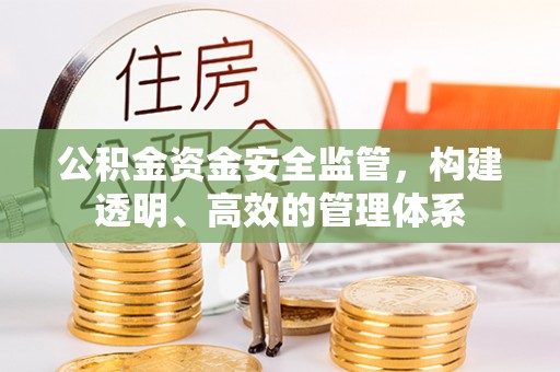 东丽公积金资金安全监管，构建透明、高效的管理体系